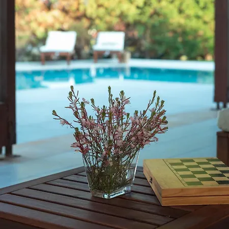 Villa 3 Roses Afantou